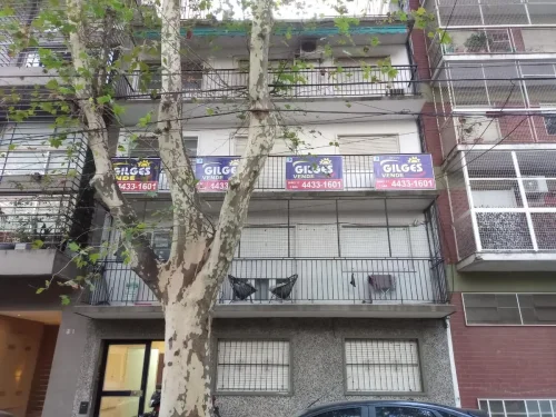 Departamento en COLPAYO  al 800