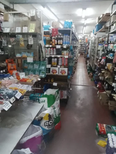 Fondo de Comercio en EMILIO MITRE al 700